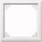 morepic-1