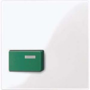 Zentralplatte aws/gl für Abstelltaster gn 451525 