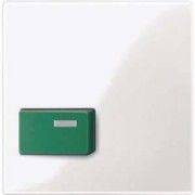 Zentralplatte pws/gl für Abstelltaster gn 451519 