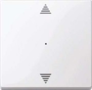 Wippe aws/gl für Tastermodul 1f. 619425 