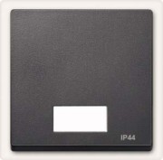 Wippe Symbol Fenster anth rechteckig IP44 433714 