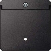 Card-Schalter anth beleuchtbar 315414 