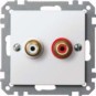 morepic-1