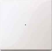 Wippe pws/gl f.Tastermodul 1f. 619119 