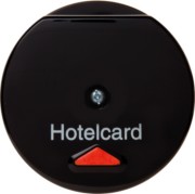 Hotelcardschalter sw 164165 