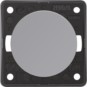 morepic-1