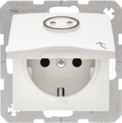 Schuko-Steckdose pws Symbol Steckdose 47861949 