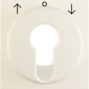 Zentralstück ws/gl f.Jal.-Schal.-Tast. 15068982 