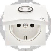 Schuko-Steckdose pws Symbol Steckdose 47441949 
