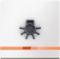 morepic-1