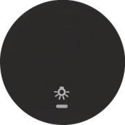 Wippe sw/gl Linse/Symbol Licht 16212035 