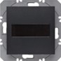 morepic-1