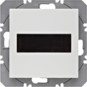 morepic-1