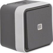 Taster Wechsler lichtgrau 50763505 