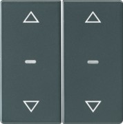 Abdeckung Tastsensor-Modul 2-fach anthrazit 80961326 