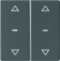 morepic-1
