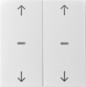 morepic-1