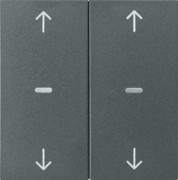 Abdeckung Tastsensor-Modul 2-fach anthrazit 80961385 