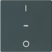 Abdeckung Tastsensor-Modul 1-fach anthrazit 80962226 