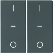 Abdeckung Tastsensor-Modul 2-fach anthrazit 80962326 