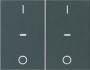 Abdeckung Tastsensor-Modul 2-fach anthrazit 80962375 