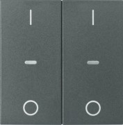 Abdeckung Tastsensor-Modul 2-fach anthrazit 80962385 