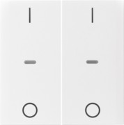 Abdeckung Tastsensor-Modul 2-fach pws glänzend 80962389 