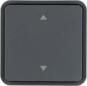 morepic-1