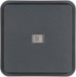 morepic-1