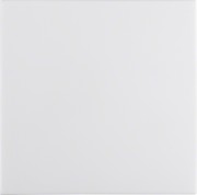 Wippe S.1 IP44 pws glänz. 16298989 