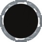 morepic-1
