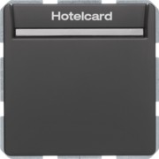 Relais-Schalter Hotelcard anthrazit samt 16406096 