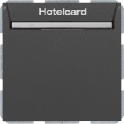 Relais-Schalter Hotelcard anthrazit matt 16409906 
