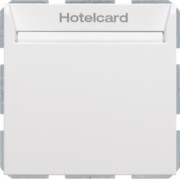 Relais-Schalter Hotelcard polarweiß matt 16409909 