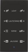 Glas-Sensor 4fach schwarz 75144935 