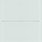 Tastsensor 2fach Glas polarweiß 75162090 