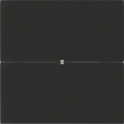 Tastsensor 2fach Glas schwarz 75162092 