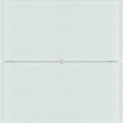 Tastsensor 2fach polarweiß 75162590 