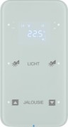 Touchsensor 2fach Glas polarweiß 75642160 