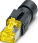 morepic-1