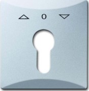 Zentralscheibe alusilber f.Profilhalbzylinder 2155 PZ-33 