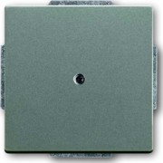 Zentralscheibe meteor Blindabd,m.Tragring 1742-803 