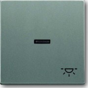 Wippe meteor/gr mit Symbol Licht 1789 LI-803 
