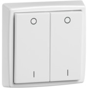 Wandsender D 455/61.022 FU-BLS 