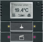 Bedienelement 2/4-fach m.RTR,anthrazit 6128/28-81 