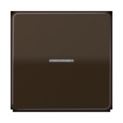 Taster 1fach JUNG HOME BT CD 17101 BR 