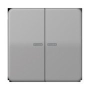 Taster 2fach JUNG HOME BT CD 17102 GR 