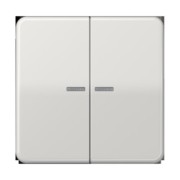 Taster 2fach JUNG HOME BT CD 17102 LG 