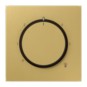 morepic-1
