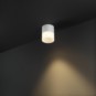 morepic-4
